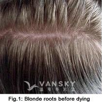 240515095956_Hair-Before Dying-s.jpg